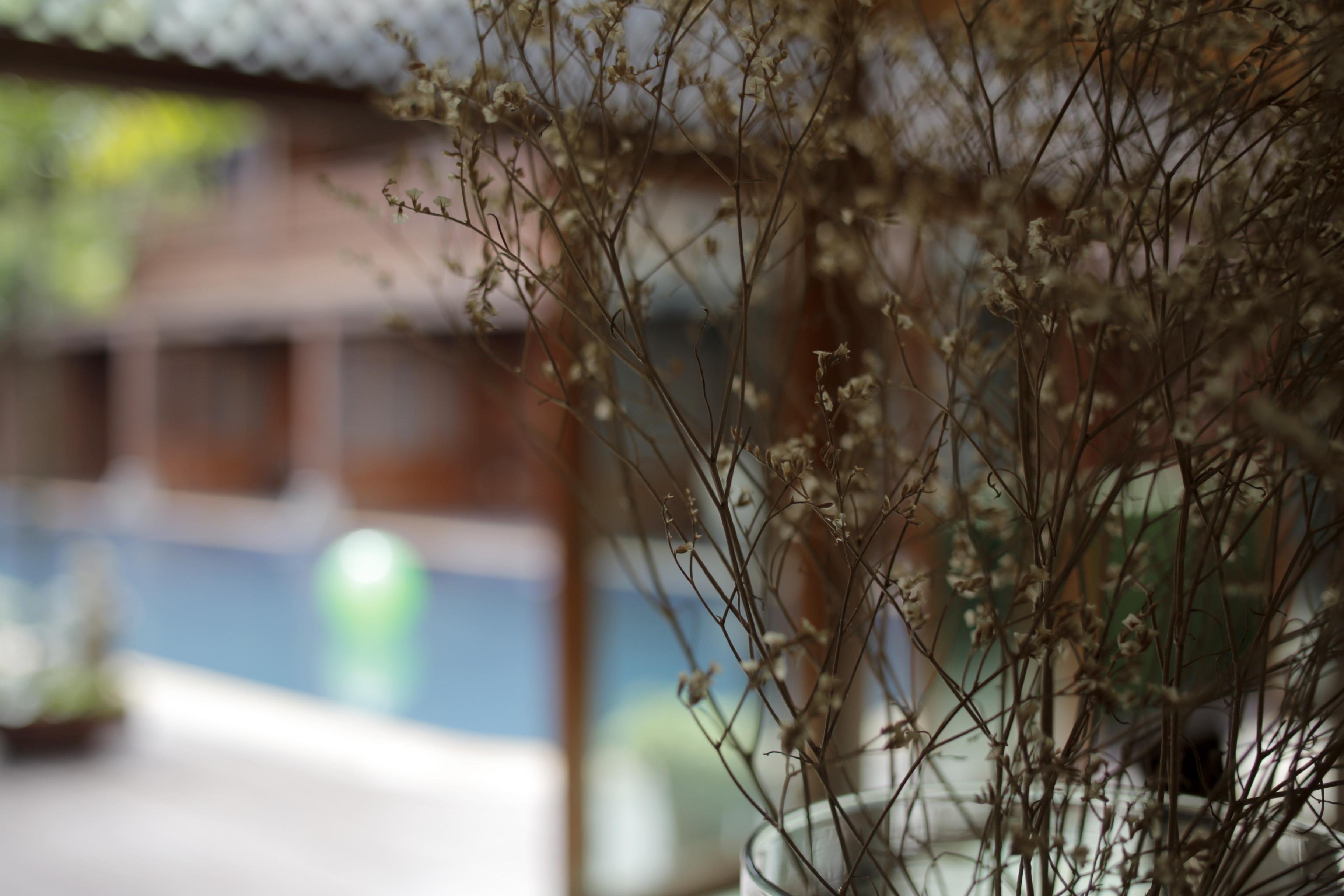 Baan U Sabai Boutique House-Sha Plus Τσιάνγκ Μάι Εξωτερικό φωτογραφία